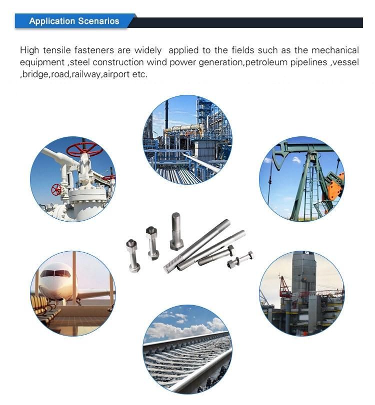 Professional Gi Fastener Manufacturer Tensile Control Bolt Different Types Nuts Bolts with High Strength Made in China
