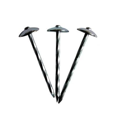 Zinc Coated Umbrella Head Roofing Nail for Africa Market