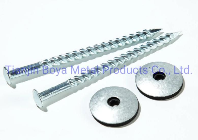 Common Nail/Spiral Nail/Ring Nail/Pallet Nail/Pallet Iron Nail/Building Nail/Hardware