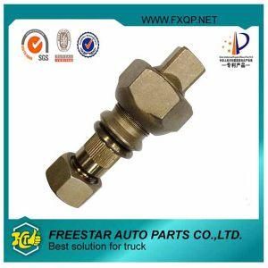 Fxd M18 Latest Auto Fastener Manufacturer Caster Bolt for Truck