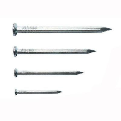 Professional Quality Galvanized Umbrella Roofing Nails/Concrete Nails/Common Nail