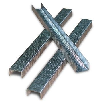 Galvanized Staple/ Fine Wire Staple/Heavey Wire Staple /71 Staple/80 Staple/N Staple