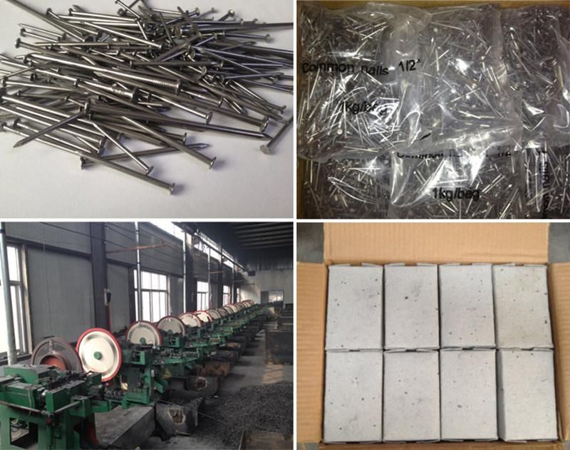 Nails Loose Nails Steel Nails Custom Nails Can Be Made in Any Size for Fixed OEM Customized CNC Machining Stainless Steel Supplier of Car/Auto Spare /Motor/Pump