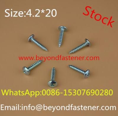Screw/Self Tapping Screw /Truss Screw Fastener