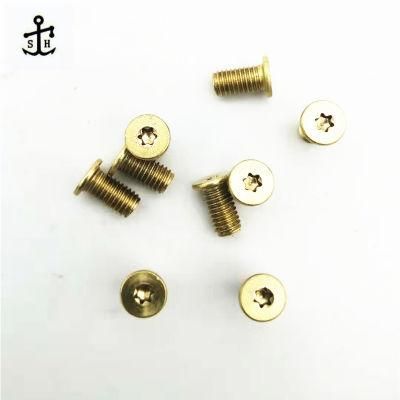 European Customers Non - Standard Inside Plum Torx Large Flat Pan Head Bolts Made in China