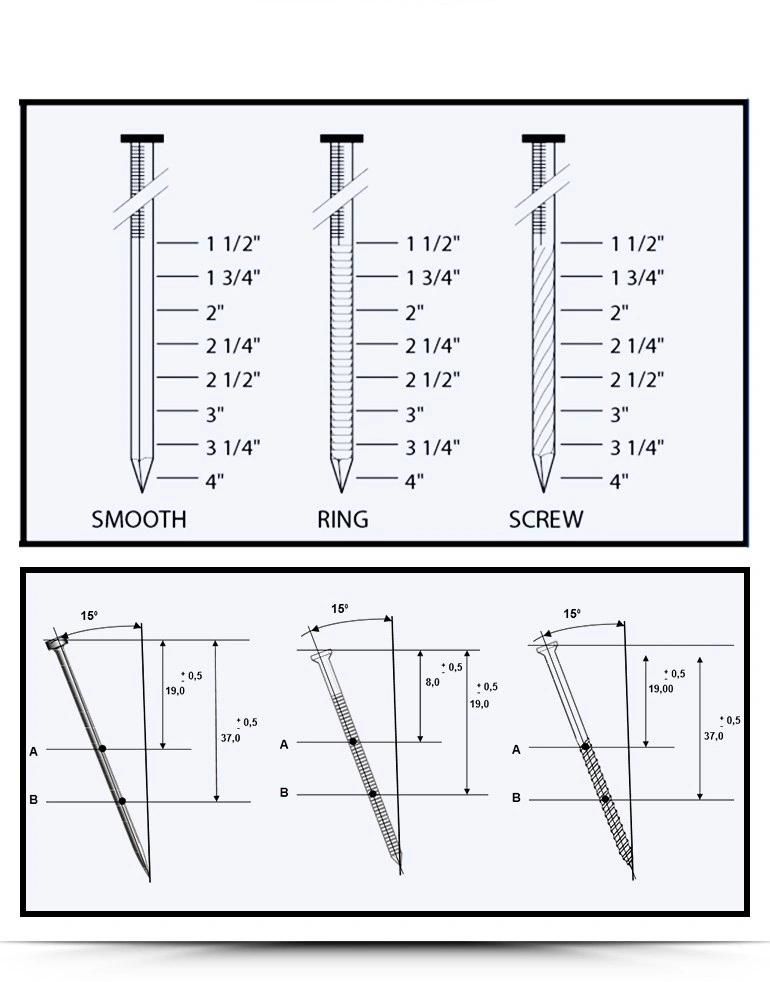Screw Shank Coil Nail with Different Sizes