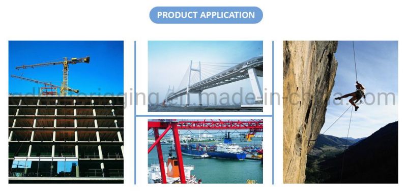 High Quality Stainless Steel304/316 JIS1169 Eye Nut of Rigging Hardware with Longer Service Life