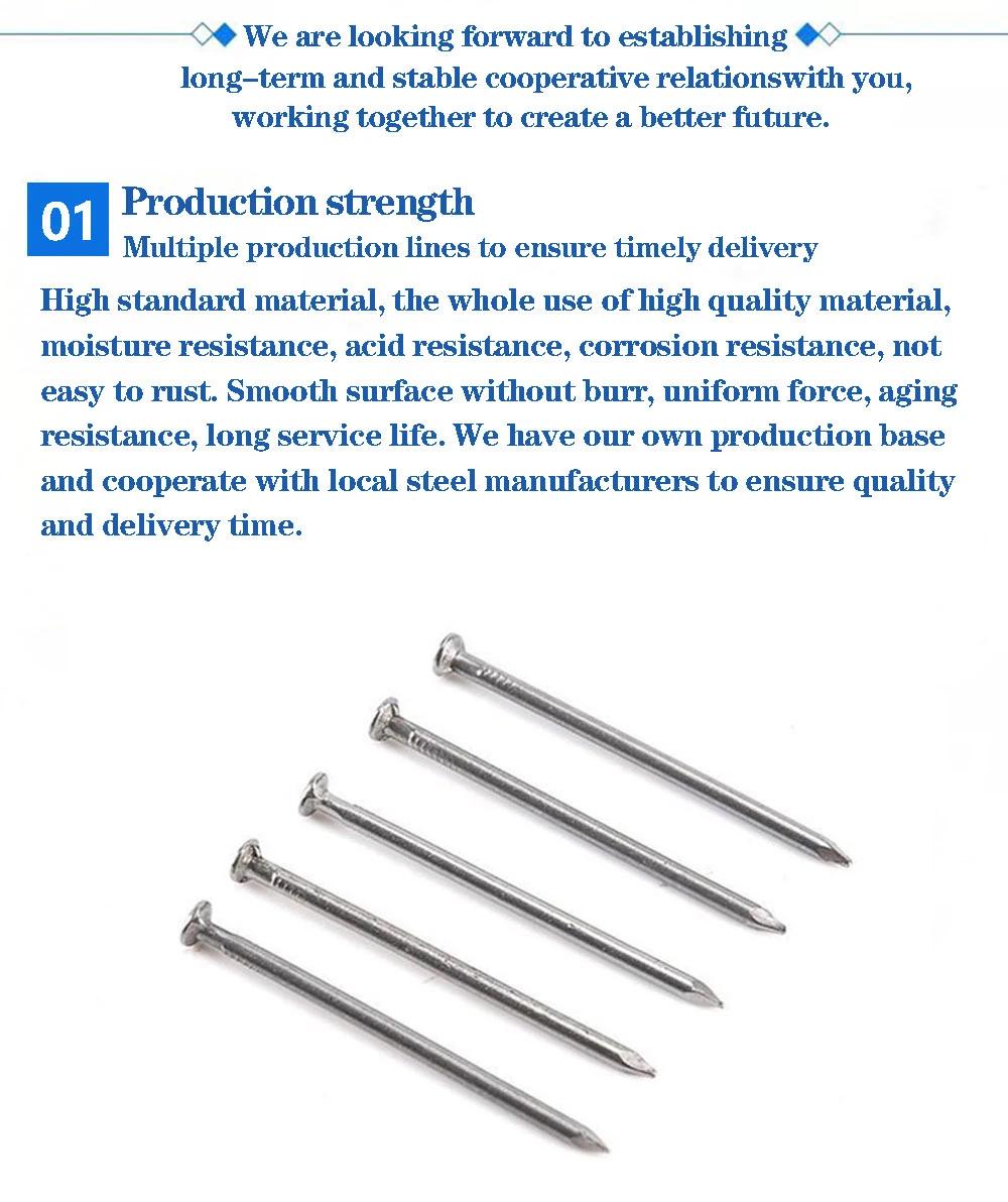 Construction Nails/Straight Pole Roofing Nails