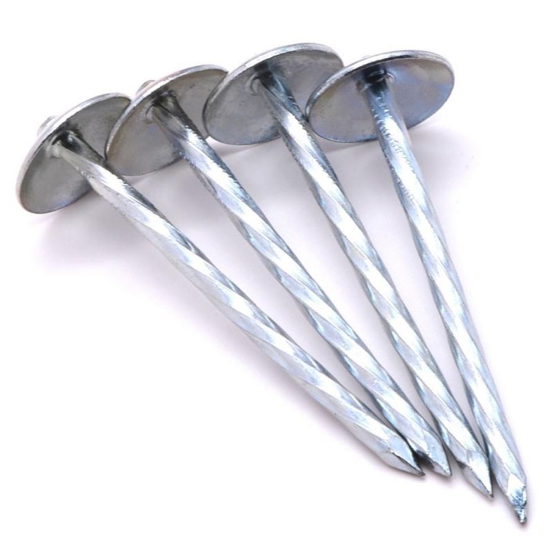 2.5*Bwg9 Umbrella Head Roof Nails Electro Galvanized Roofing Nails
