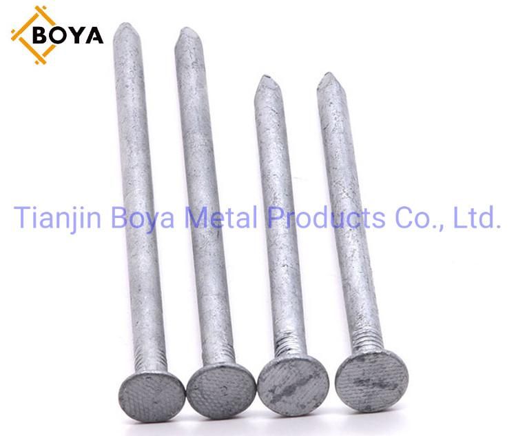 Common Round Head Iron Wire Nail Made in China