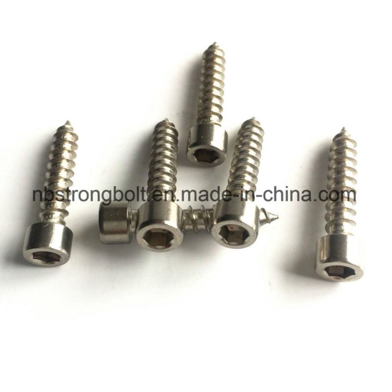 Stainless Steel Hexagon Self-Tapping Screw