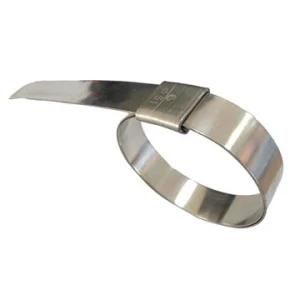 Band Adjustable Band Metal Quick Release Punch Throbbing Hose Pipe Clamp