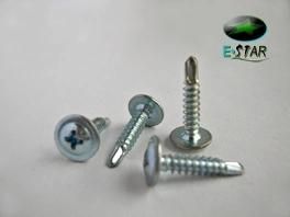 Self-Drilling Screw with Wafer Head