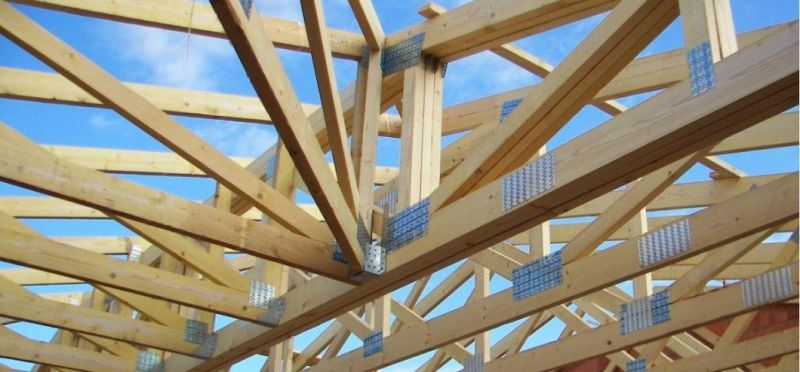 Truss Gang Nail Plate with Single Teeth for Timber Connector Wood Connector Joist Timber Nails Plate