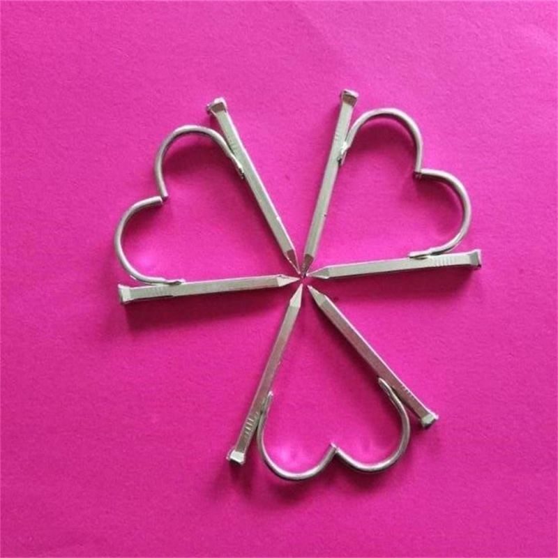 Quality 6 Points Plus Hard Lgalvanized Hook Nails