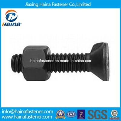 Black Flat Countersunk Head Nib Bolt DIN604 Made in China
