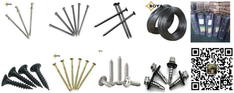 Flat Countersunk Head Hole Phillips Head Finish Zinc Plated Chipboard Screws