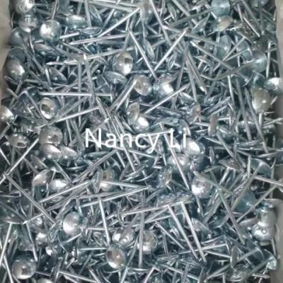 Zinc Blue/Zinc White Umbrella Roofing Nails with/Without Rubber Washers