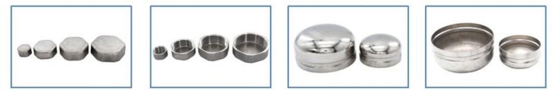 Stainless Steel 304/316 Pipe Fittings, Male Fitting, Square Head Plug
