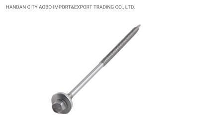 Stainless Steel Self Drill Tip Should Er Tool Nail Screw