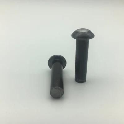Pan Head Rivet Screw Bolt Stainless Steel