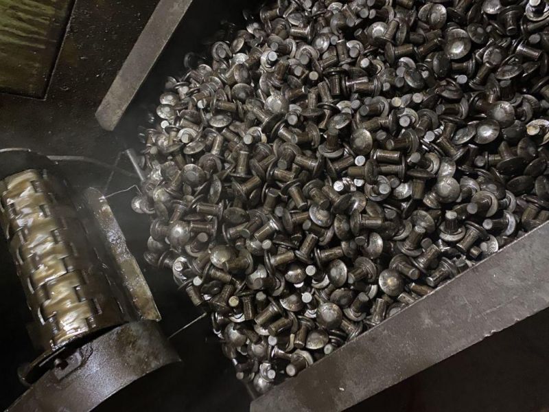 Stainless Steel SS304 SS316 Carbon Steel Gr. 4.8/6.8/8.8 Blue White Color Yellow Black Zinc Plated Carriage Bolt