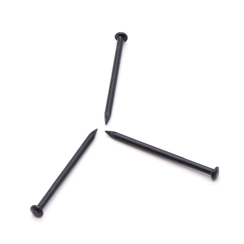 Magnetic Concrete Nail Stainless Steel Concrete Nail