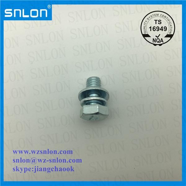 Wzp Hex Head Screw Assembled Spring Washer and Flat Washer Combination Sems Screws