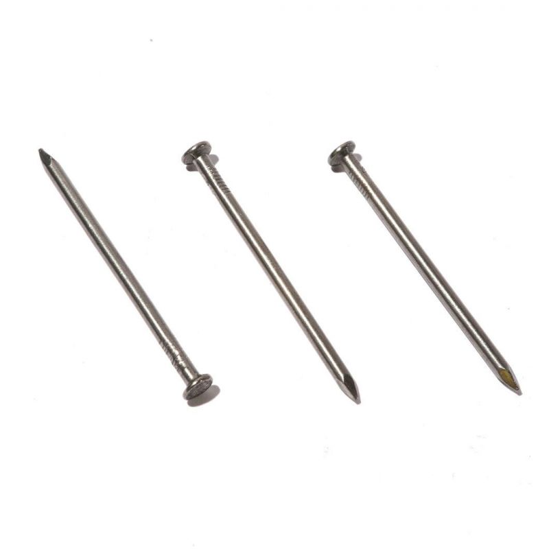 Zambia Namibia Market/Factory Supply Professional Wood Nails Nail Iron Common Wire Nails Supplier