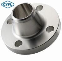 Stainless Steel Pipe Fitting Investment Casting High Neck Butt Welding Wn Flange