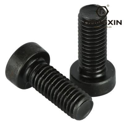 Stainless Steel Carbon Steels Fit Closely Tight Flange Bolt with Cheap Price