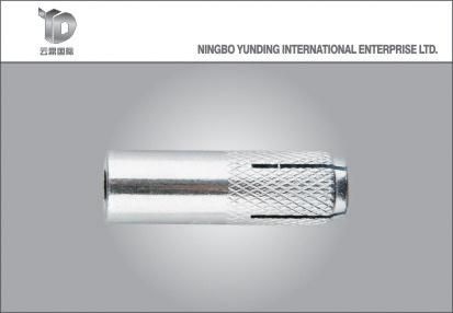 Made-in-China Stainless Steel Drop in Anchor