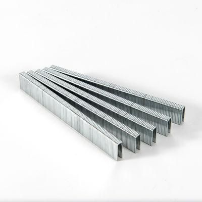 1013j Staples Galvanized 10j Staples for Furnituring