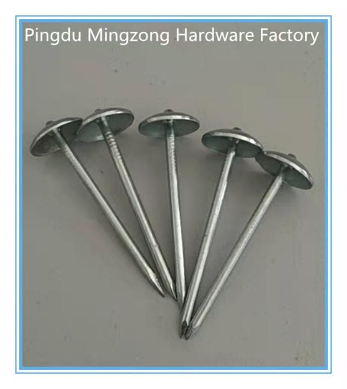 ø 3.0*60.2mm Galvanized Roofing Nails with Smooth Shank and Umbrella Head