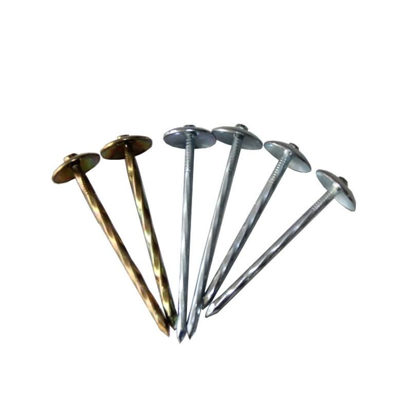 Zinc Coated Umbrella Head Roofing Nail for Africa Market