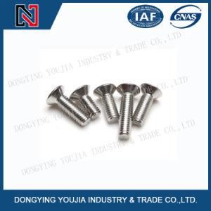Jisb1111o Stainless Steel Cross Recessed Raised Countersunk Head Screw
