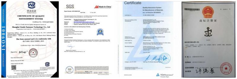 Accept Custom-Made Hardware Fastener Dacromet Surface Treatment Made in China