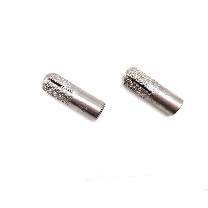 High Quality Stainless Steel Drop in Anchor for Concrete