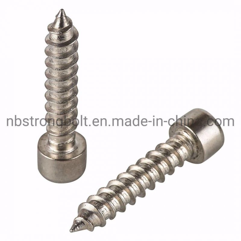 Stainless Steel Hexagon Self-Tapping Screw