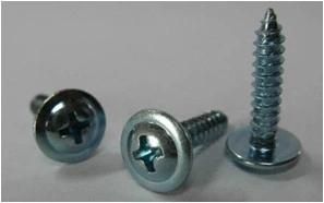 Self Tapping Screws Wafer Head (Truss Head)