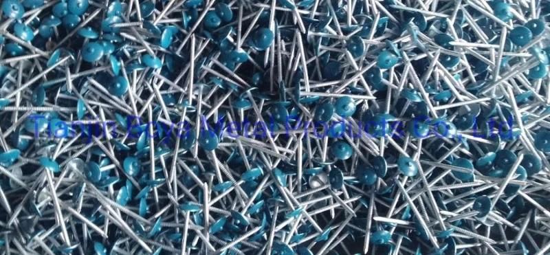 Hot Sale 8 Box/CTN/20-25kg/CTN/50kg/Gunny Bag Twisted /Smooth Shank Galvanized Umbrella Head Roofing Nail with Roof Construction
