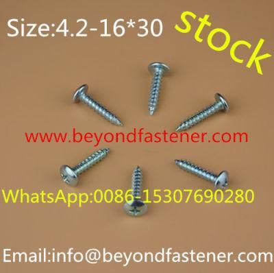 Self Tapping Screw Truss Screw