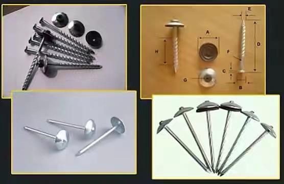 Galvanized Umrella Head Roofing Nails with Washer High Quality