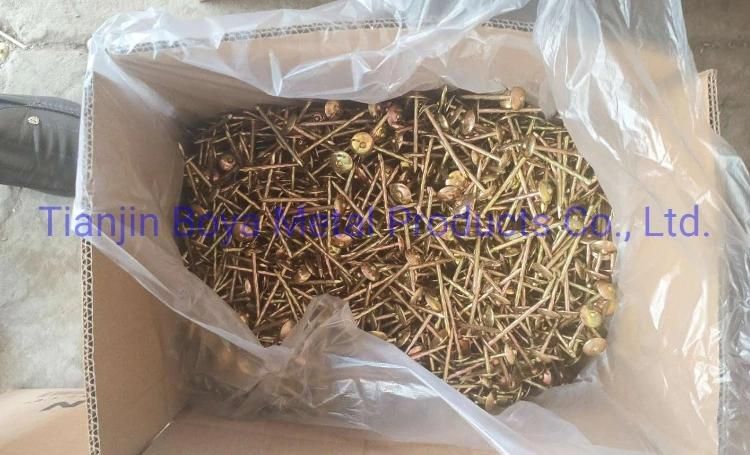 Good Quality Galvanized Umbrealla Head Roofing Nails