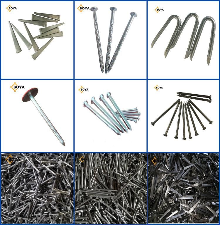 Hardened Galvanized Steel Grooved Concrete Coil Nails