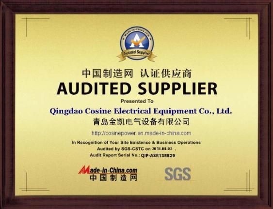 Galvanized Forged Socket Clevis Eyes Fitting W-7/W-10/W-12/W-30