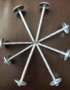 Umbrella Roofing Nails Manufacture with Lowest Price for Sale