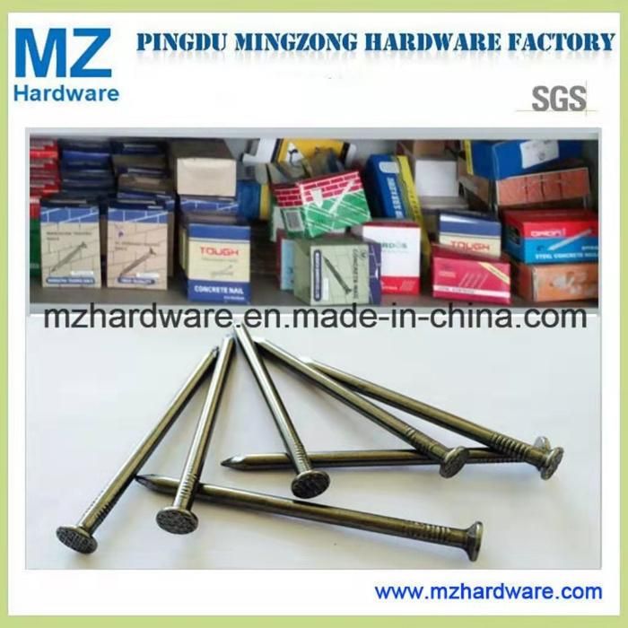 Bwg4-20 Polished Bright Galvanized Common Round Head Iron Wire Nail