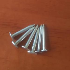 Linyi Manufacturer 1&quot; Galvanized Roofing Felt Clout Nail