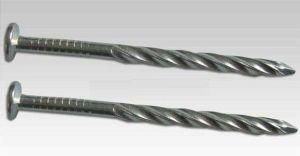 Galvanized Waterproof Steel Nails / Roofing Nails